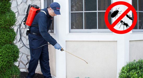 Çağlayancerit Böcek ve Haşere İlaçlama böcek ilaçlama ve haşere kontrolü — ilaclama-tr.com